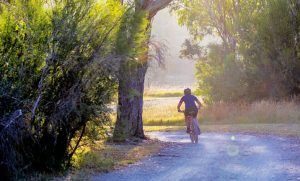 Read more about the article Bike Safety Tips for the Summer
