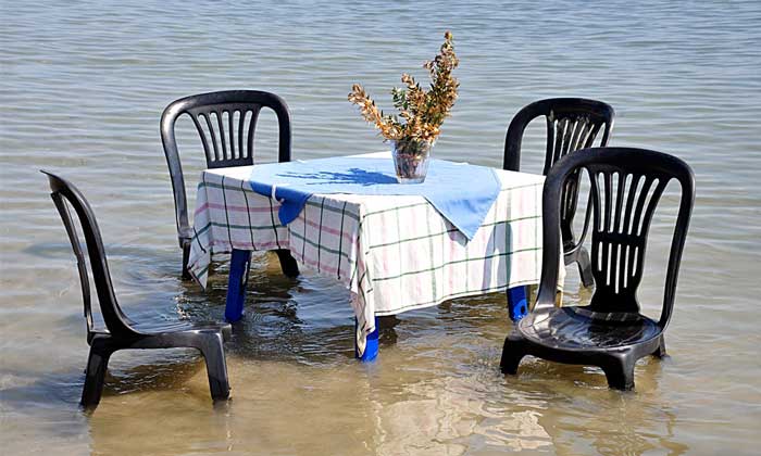 Read more about the article Struggling for Survival: Businesses That Went Thin on Insurance