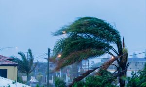 Read more about the article Planning for Hurricane Season During COVID-19 Pandemic