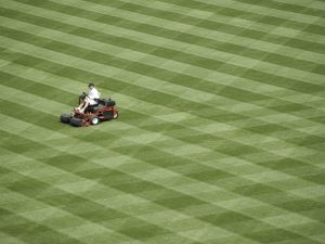 riding mower on grass - lawn care business insurance